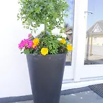 Bed & Breakfast Coco Aps 3*