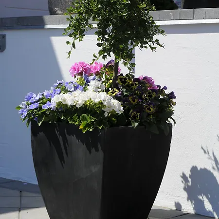 Coco Aps 3* אסביירג