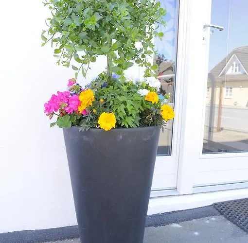 Nocleg ze śniadaniem Coco Aps 3*